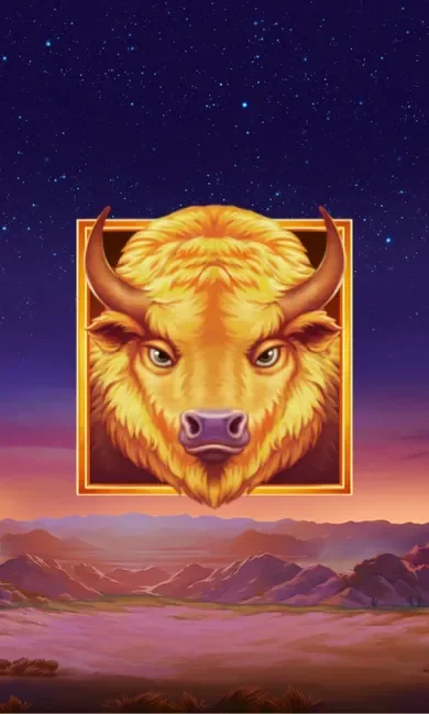 Buffalo's Sun 2